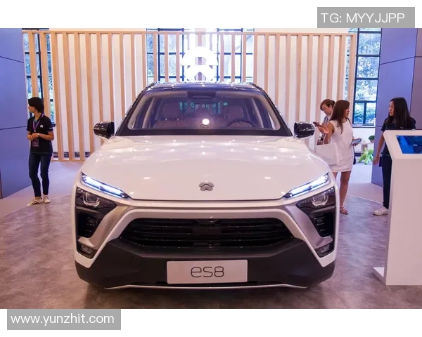 国外热议特斯拉与蔚来竞争态势分析及未来发展趋势探讨 国外热议特斯拉与蔚来竞争态势分析及未来发展趋势探讨